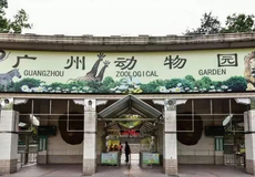 轻松规划出游 携程旅游一站式服务指南