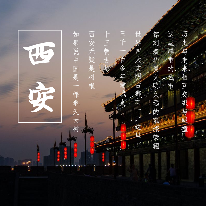 西安旅游 博物馆+大雁塔+城墙+钟鼓楼 市内包车一日游(一朝入西安 一日懂千年)当地向导风趣讲解 可代订景点门票